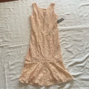 NWT Beautiful Eva Mendes Lace Dress